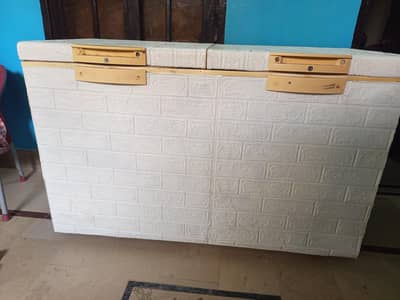 double door freezers