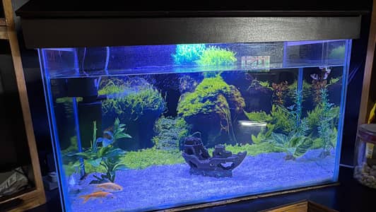Aquarium