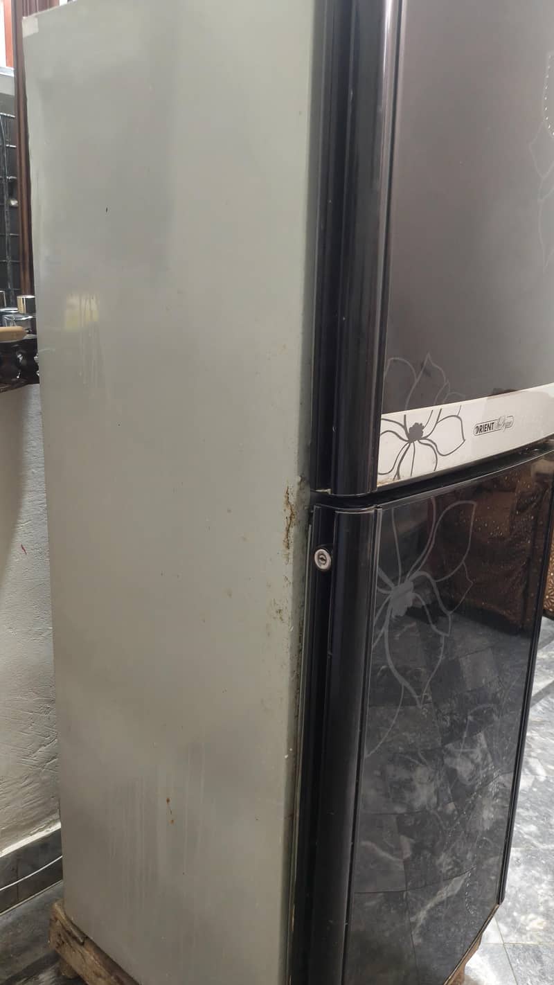 Fridge 1