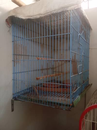 heavy net cage reasonable price all ok