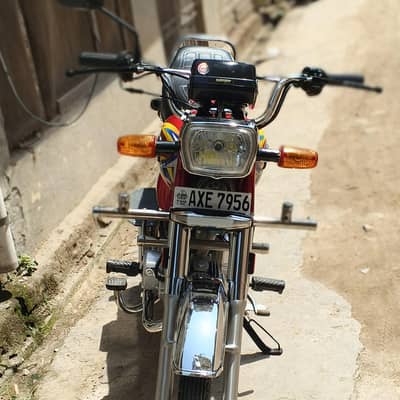 safari 70 cc special edition 2024/2025
