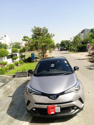 Chr hybrid