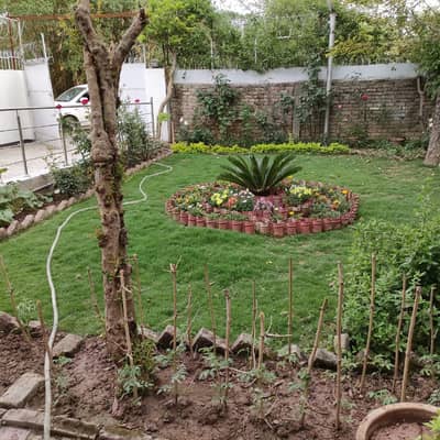 D-12/2 4080 Sunface Front Open Plot Available For Sale At Very Reasonable Price.