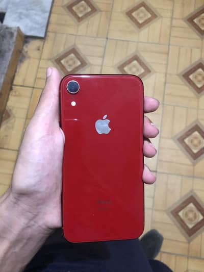 iphone Xr 10/10 condition 95 Bh