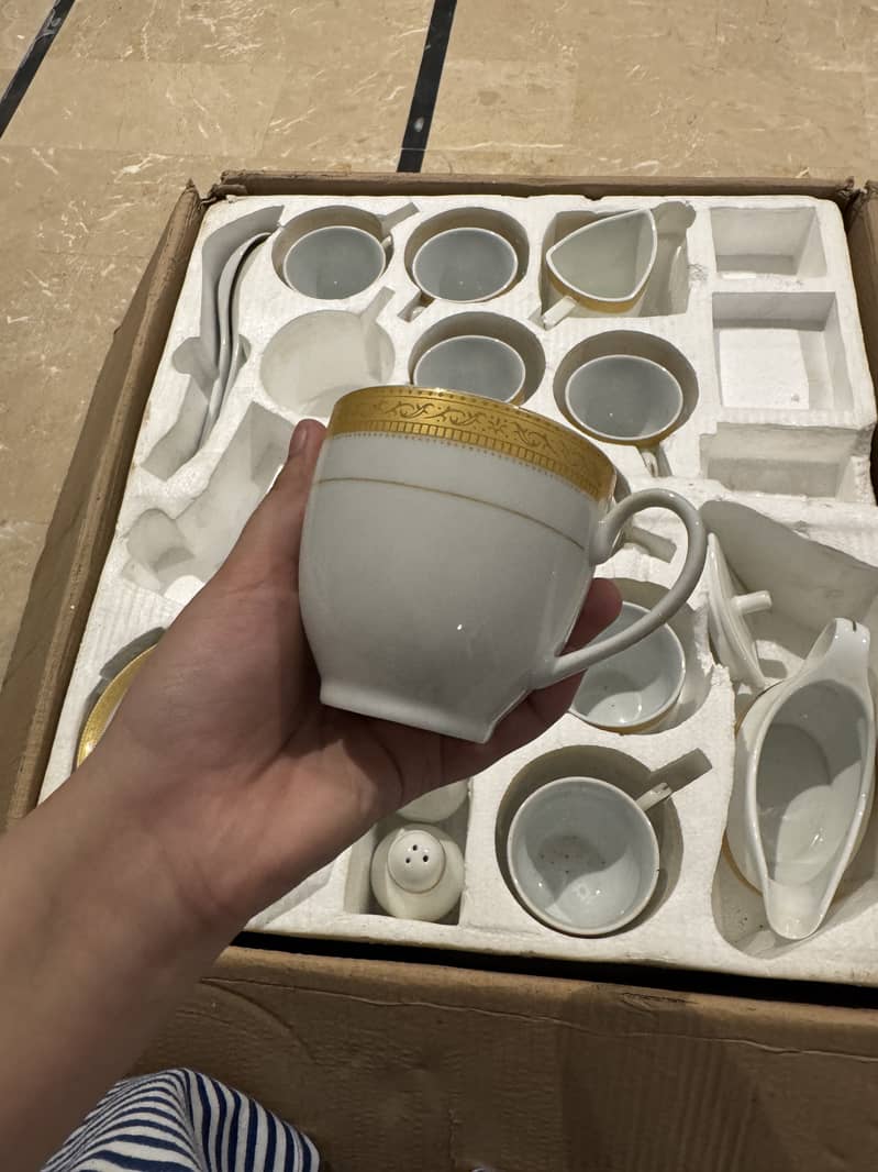 Dinner set 5