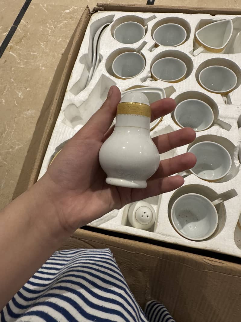 Dinner set 6