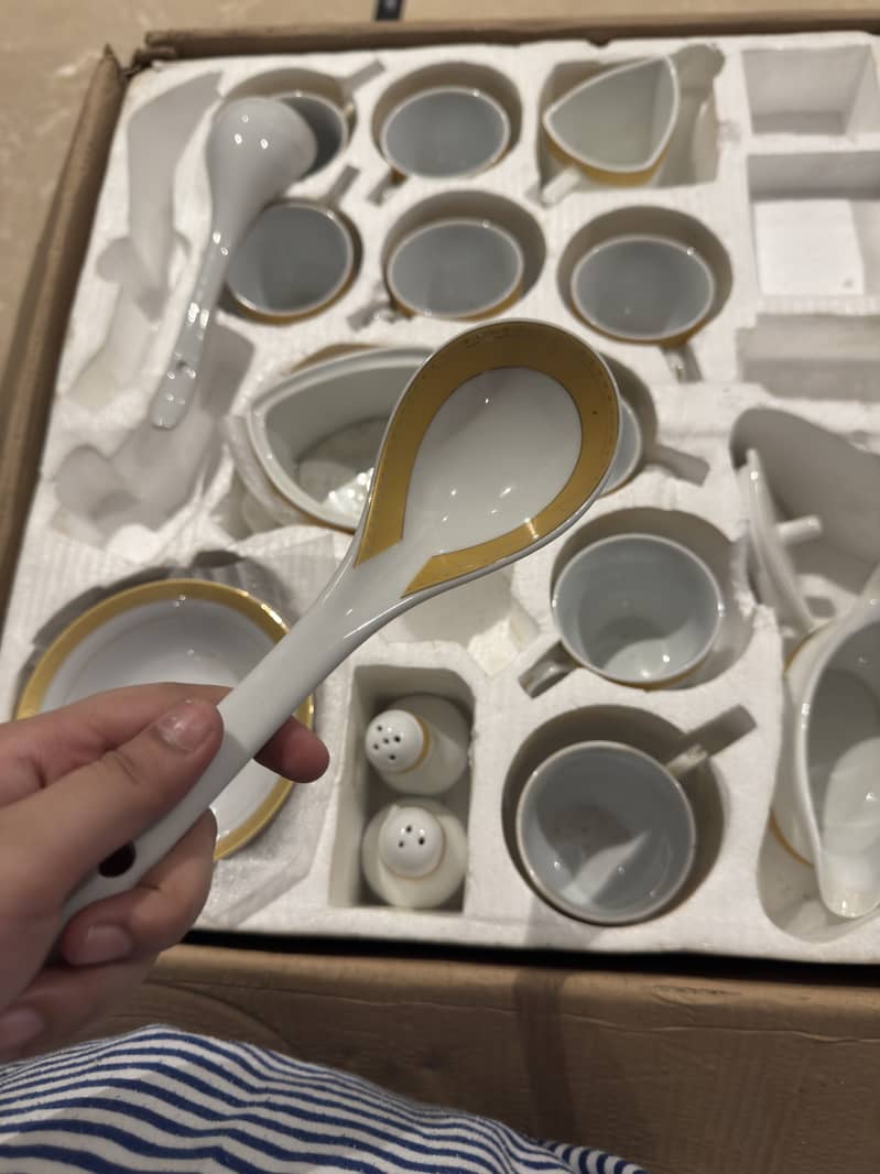 Dinner set 7