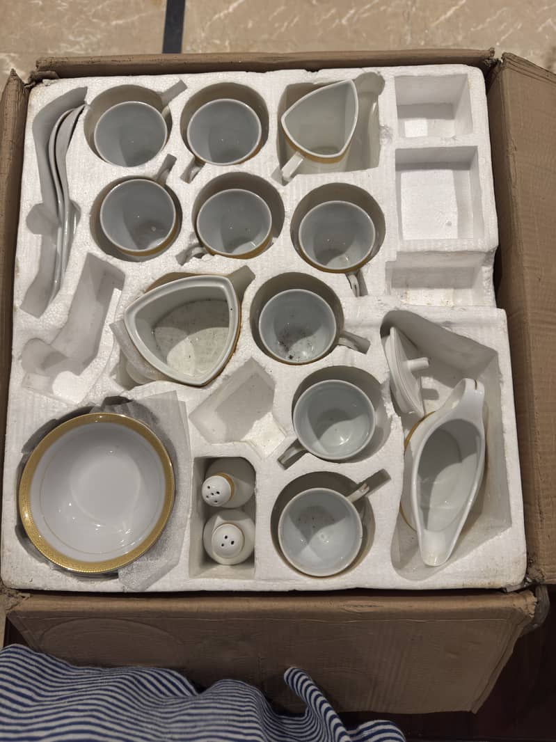 Dinner set 10