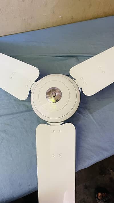 Sufi Fan