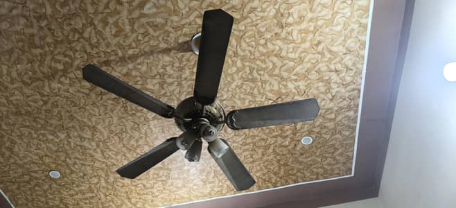 fanoos fan