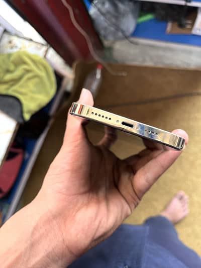 iphone 13 pro max gold coloure reac add