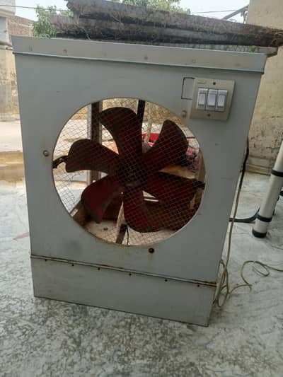 Cooler Medium Size Best