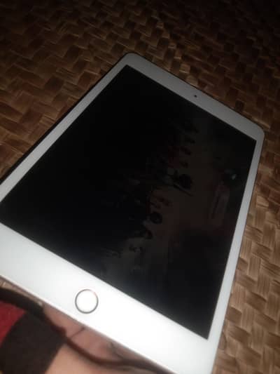 iPad mini 5 256