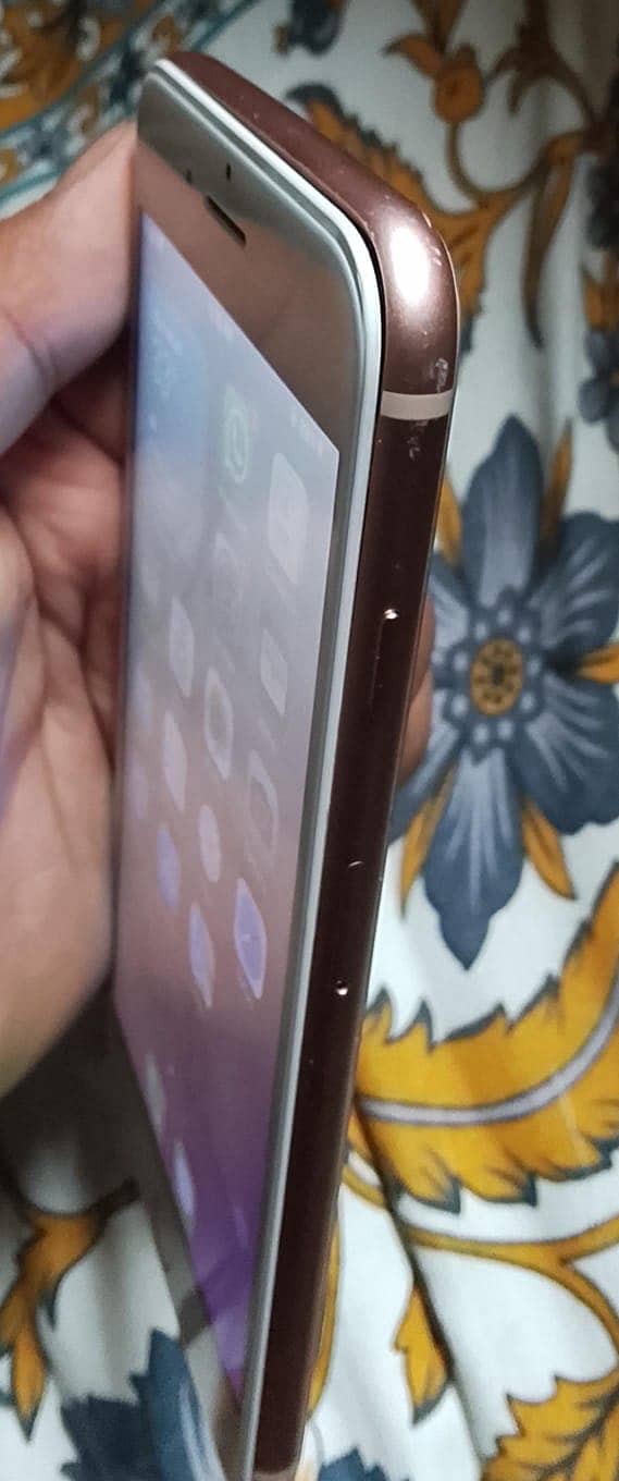 8plus 3
