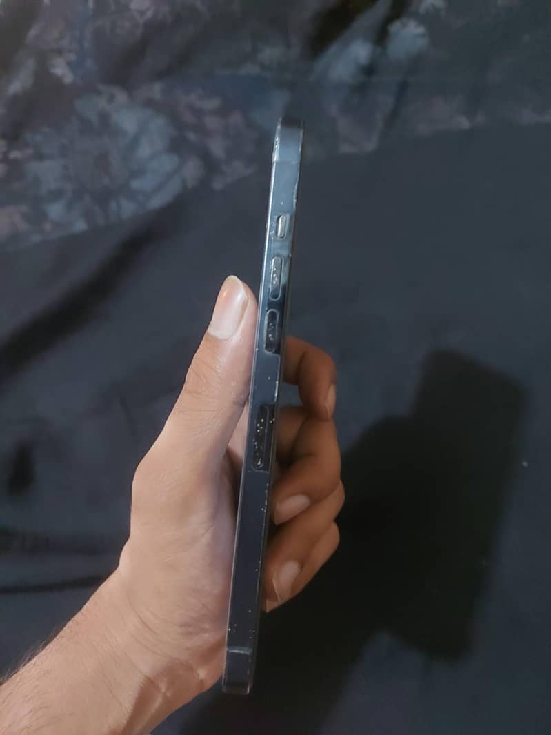 12 pro max 5