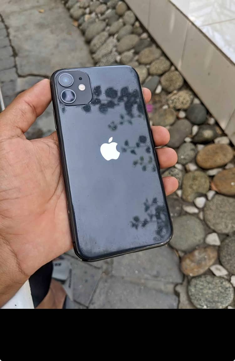 Apple iPhone 11 0