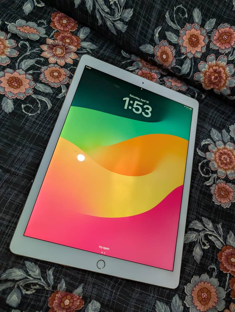 ipad pro 12.9 2nd generation 0