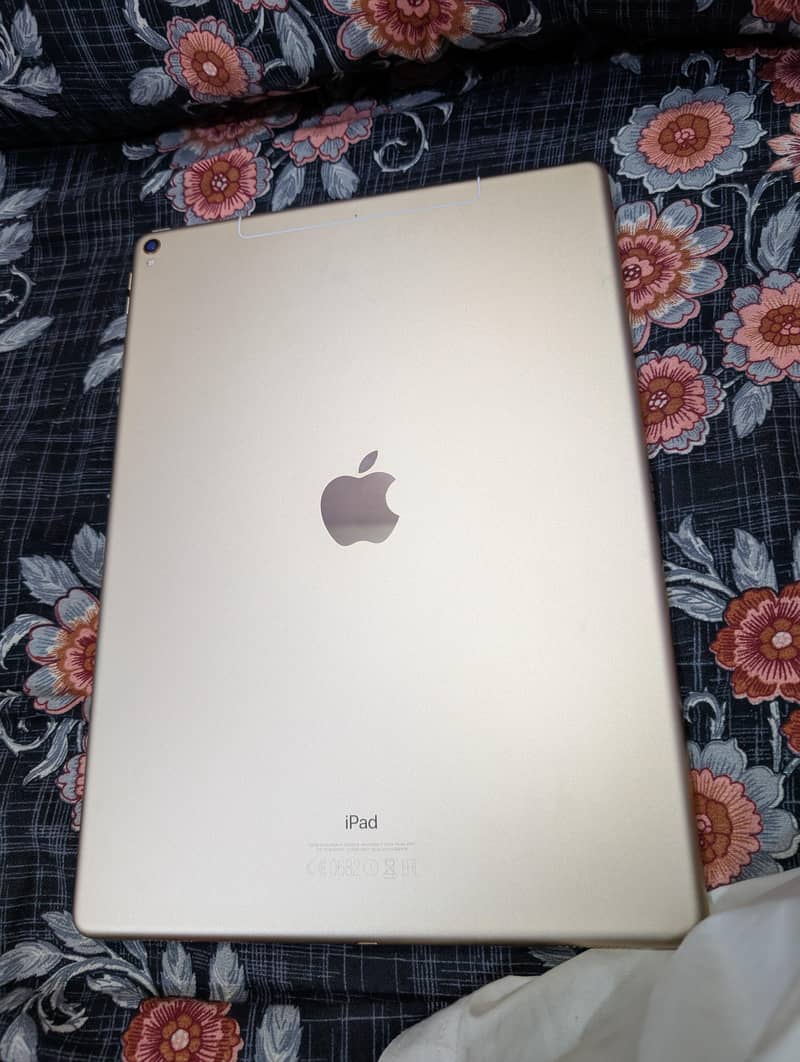 ipad pro 12.9 2nd generation 5