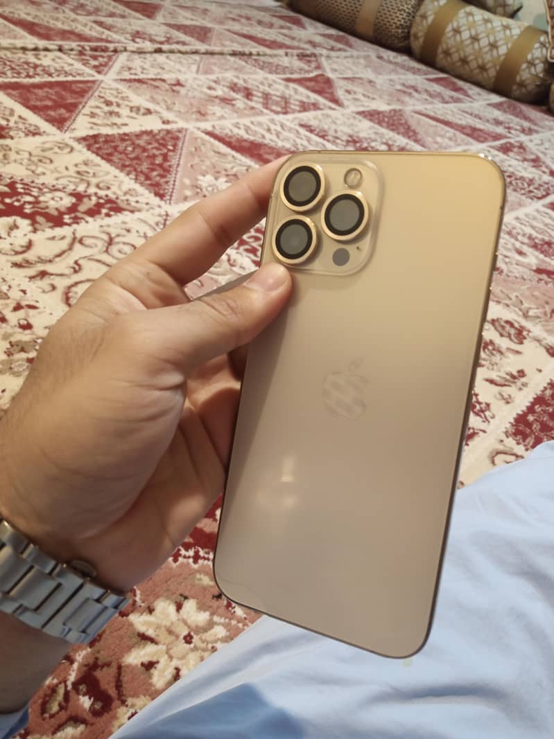 13 Pro max 1