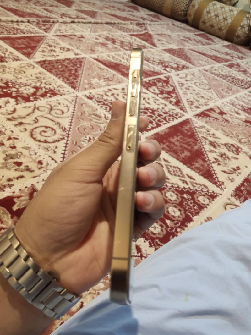 13 Pro max 4