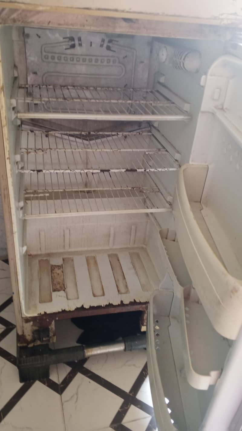 Fridge 1