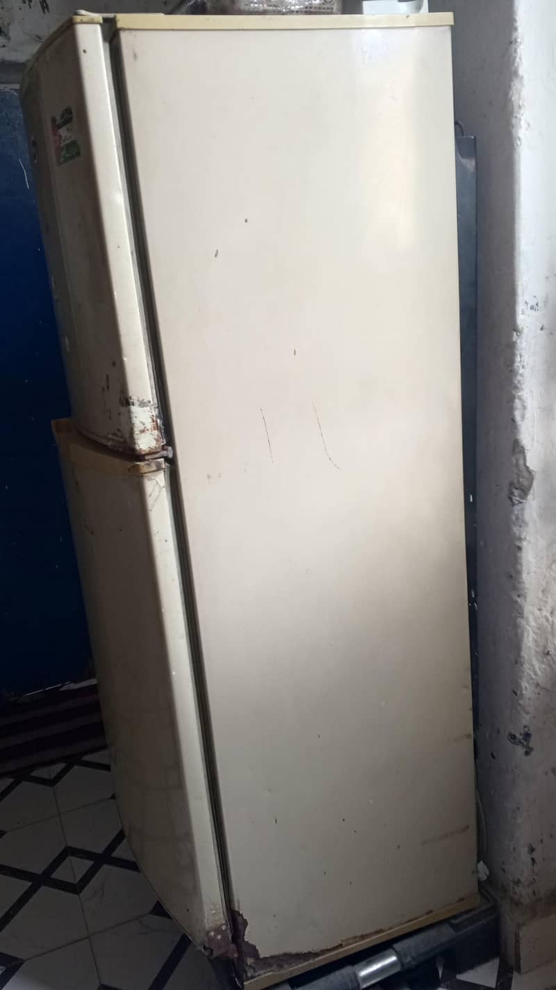 Fridge 3