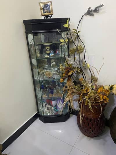 Showcase for Drawing rooms