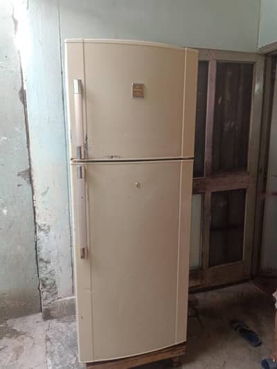 dawlance genuine large size no Frost  fridge
