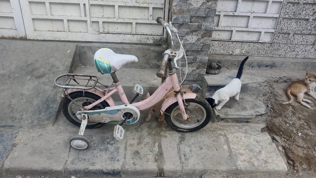 cycle 0