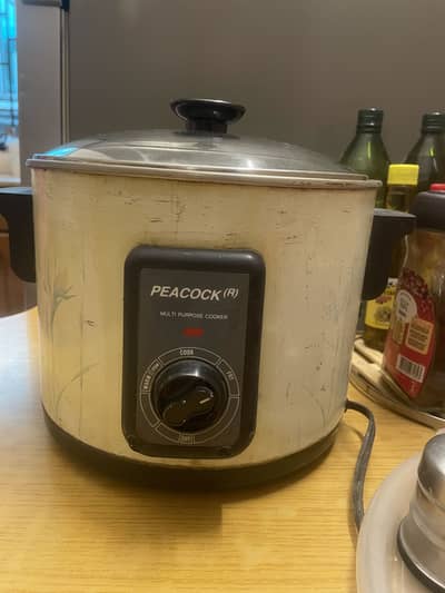 Chips Fryer