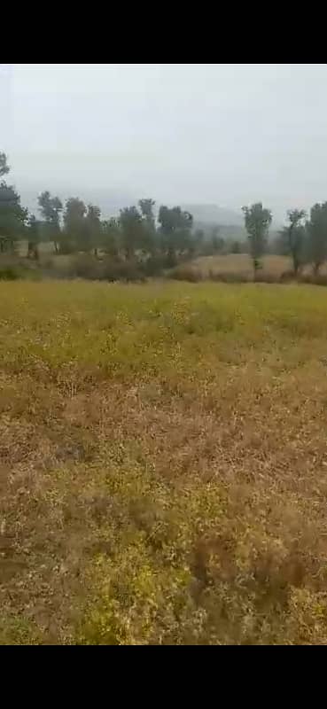 200 Kanal Commercial Land for Sale