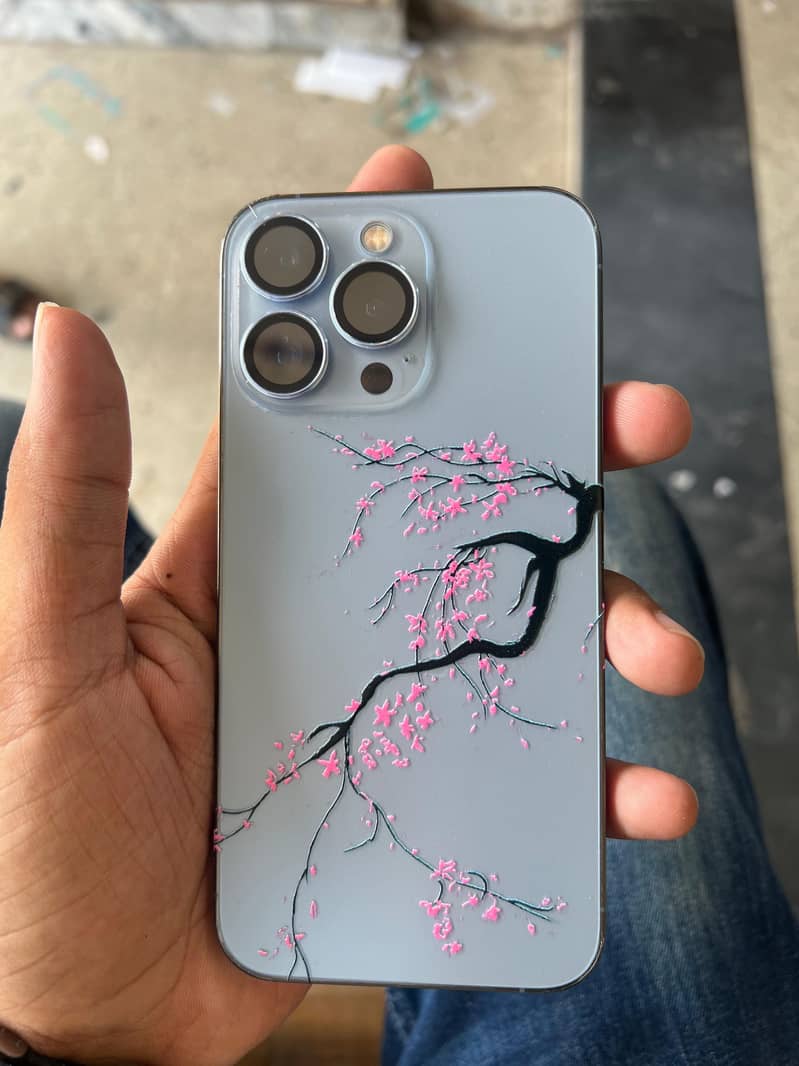 13pro 1