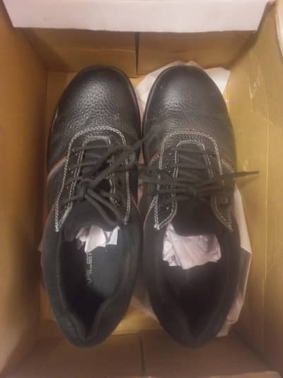 safety Shoes for sale