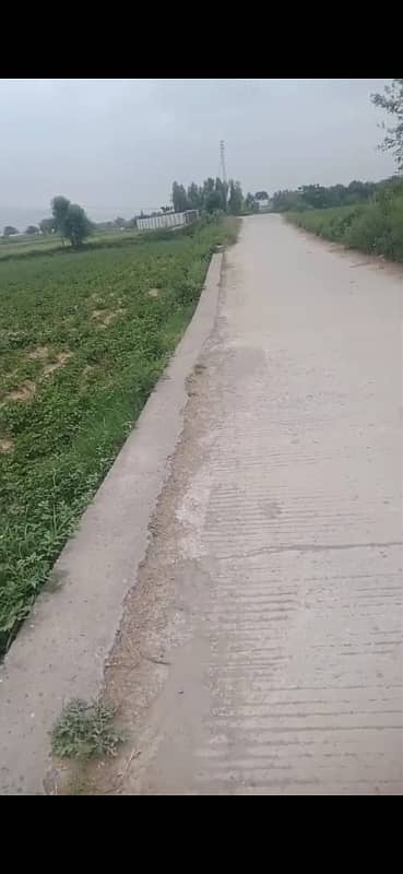 150 Kanal Agricultural Land for Sale