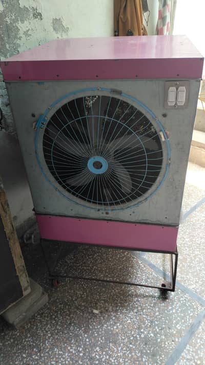 12, volt cooler