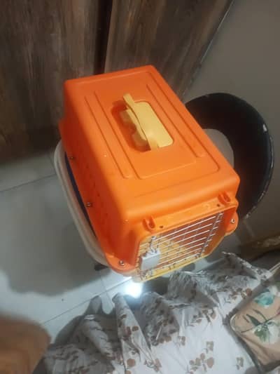 Used Pet Accessories Bundle