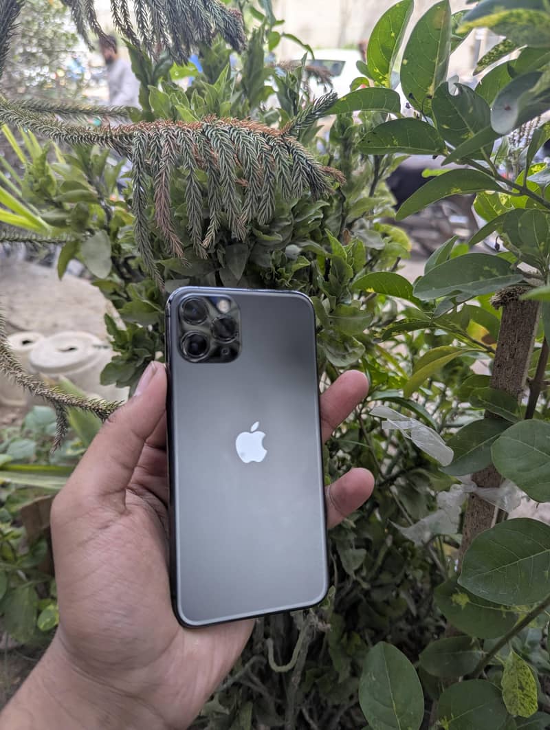 IP 11 pro 1