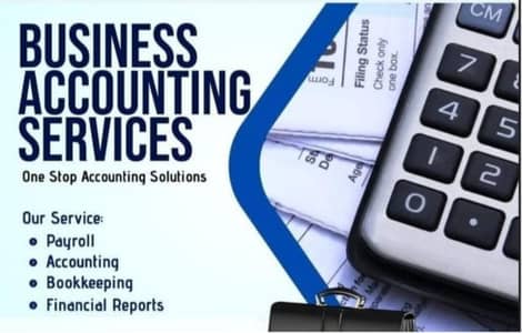 Online Accountant and book keeper
