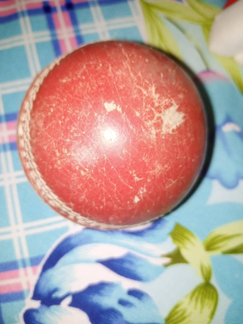 cricket kit 2