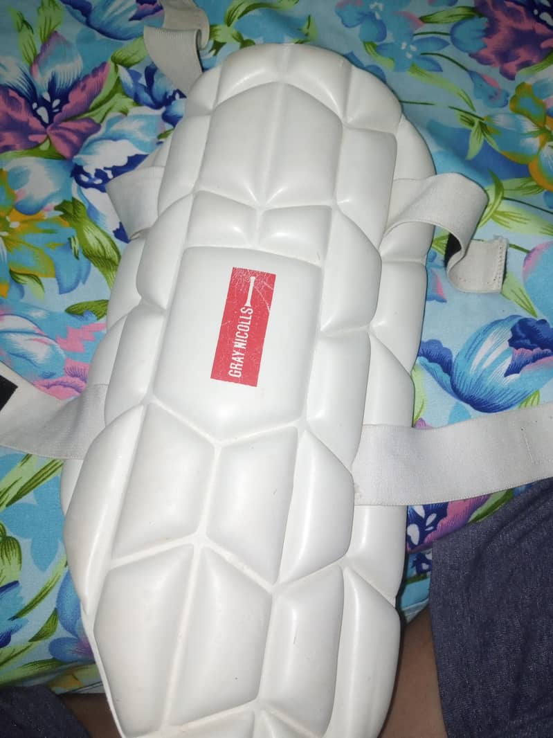 cricket kit 6