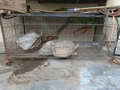 2 portion iron angle cage,Pinjra for cats,birds parrot,chicks