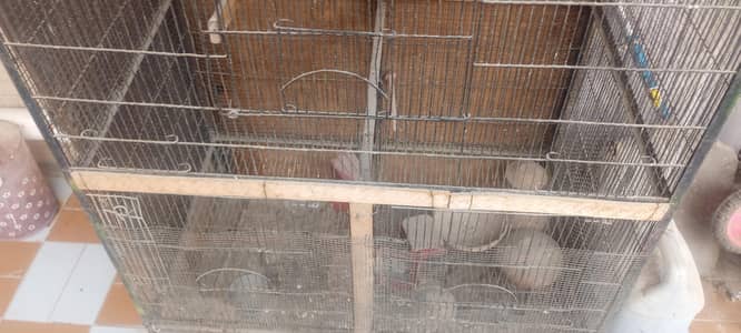 Heavy Duty 4x2 Birds Cage for Sale – For Love Birds, Parrots