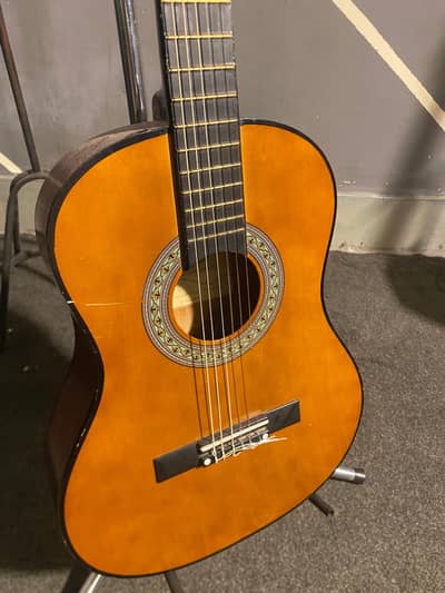 acoustic // professional guitars