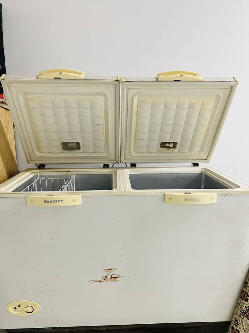 Waves freezer 1