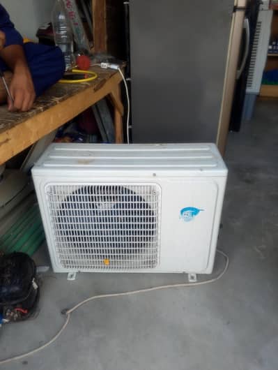 03076858662 Chenroba for Sale – Secondary Condition |