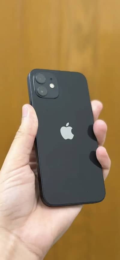 Apple iPhone 12