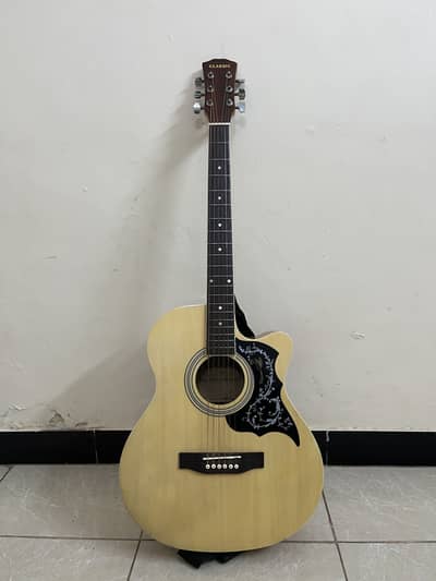 Proffesional acoustic guitar