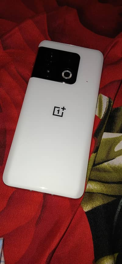 oneplus 10 pro 12/512 panda edition