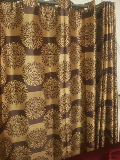 curtain 2 pec