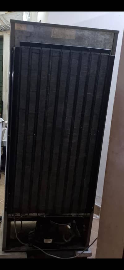 PEL (Desire series) 13 Cubic feet Fridge